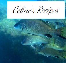 Corvina. Benefits, properties and recipes