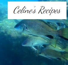 Corvina. Benefits, properties and recipes