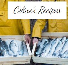 Golden. Benefits, properties and recipes