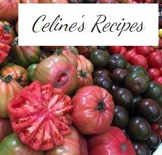 Tomato. Benefits, properties and nutrition