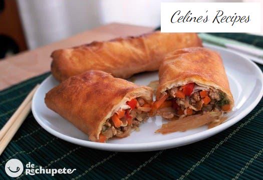 Chinese spring rolls