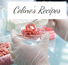 In vitro meat. The meat of the future is already here