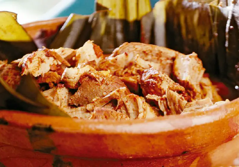 Cochinita pibil oven
